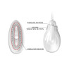 Pretty Love Stimulateur Clitoris et tétons